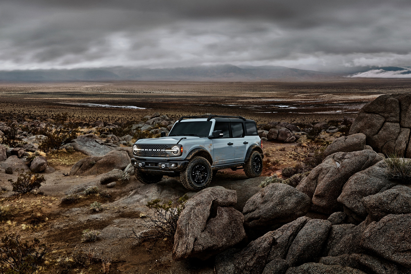 Bronco