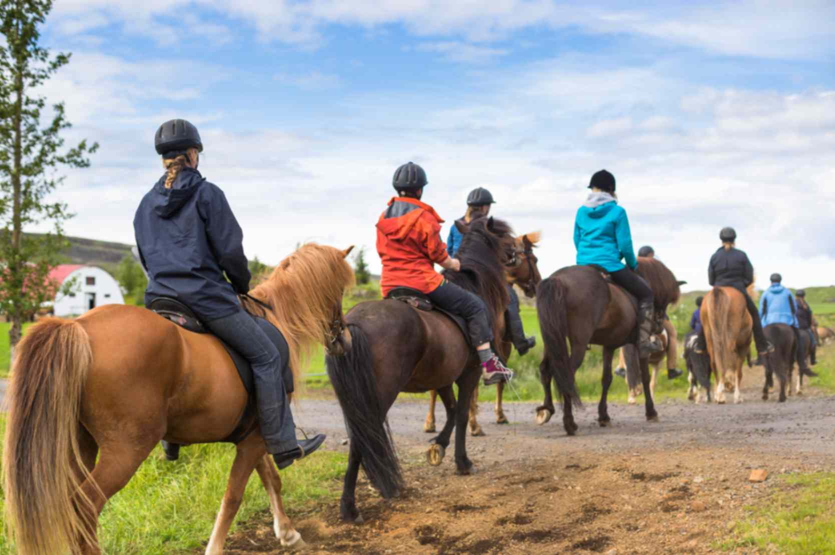 Group of people riding Icelandic horses through countryside trail