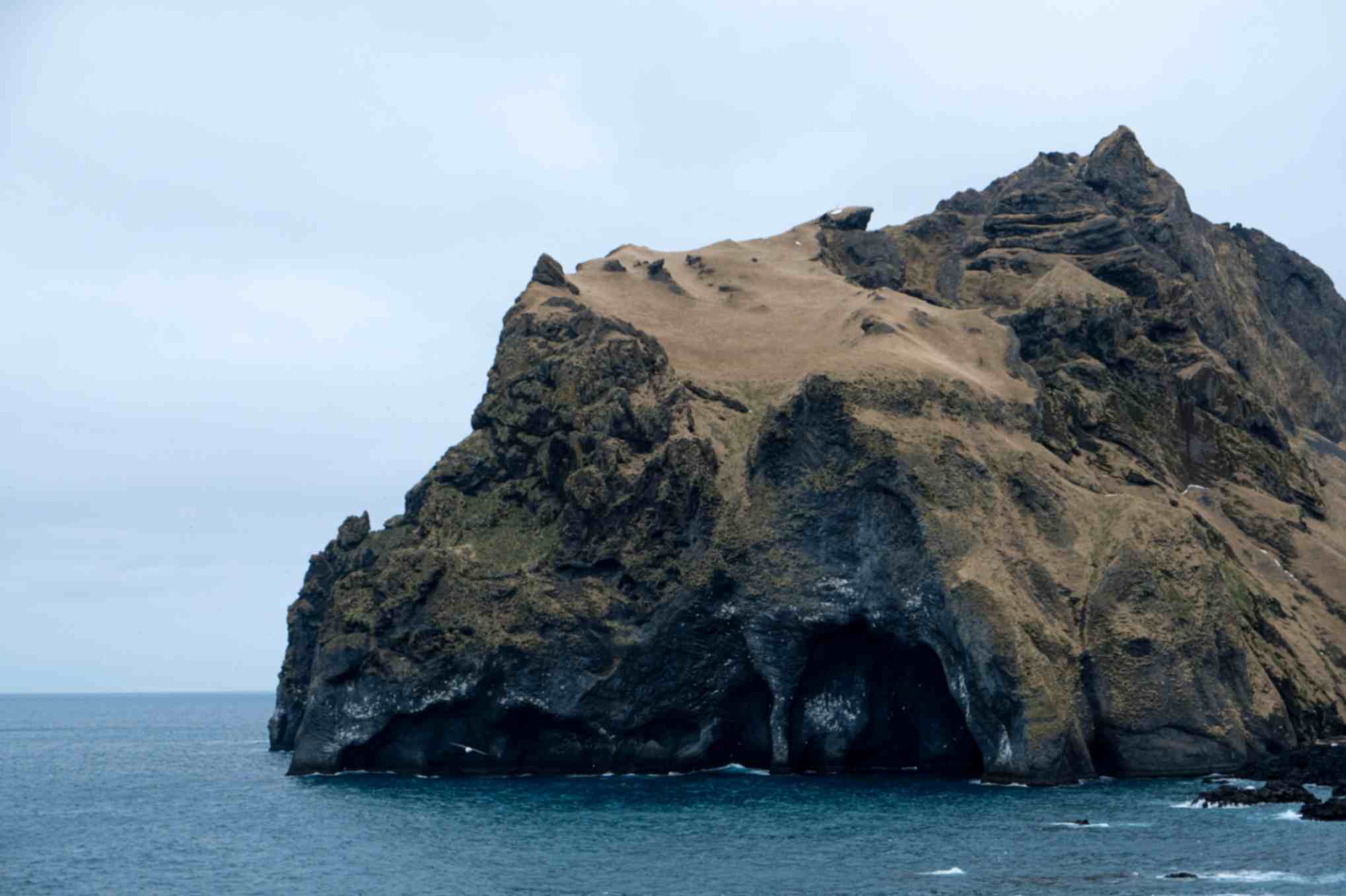 Sea cliffs in the Westman Islands (Vestmannaeyjar) in Iceland, home to one of the world’s largest puffin colonies Sea cliffs in the Westman Islands (Vestmannaeyjar) in Iceland, home to one of the world’s largest puffin colonies