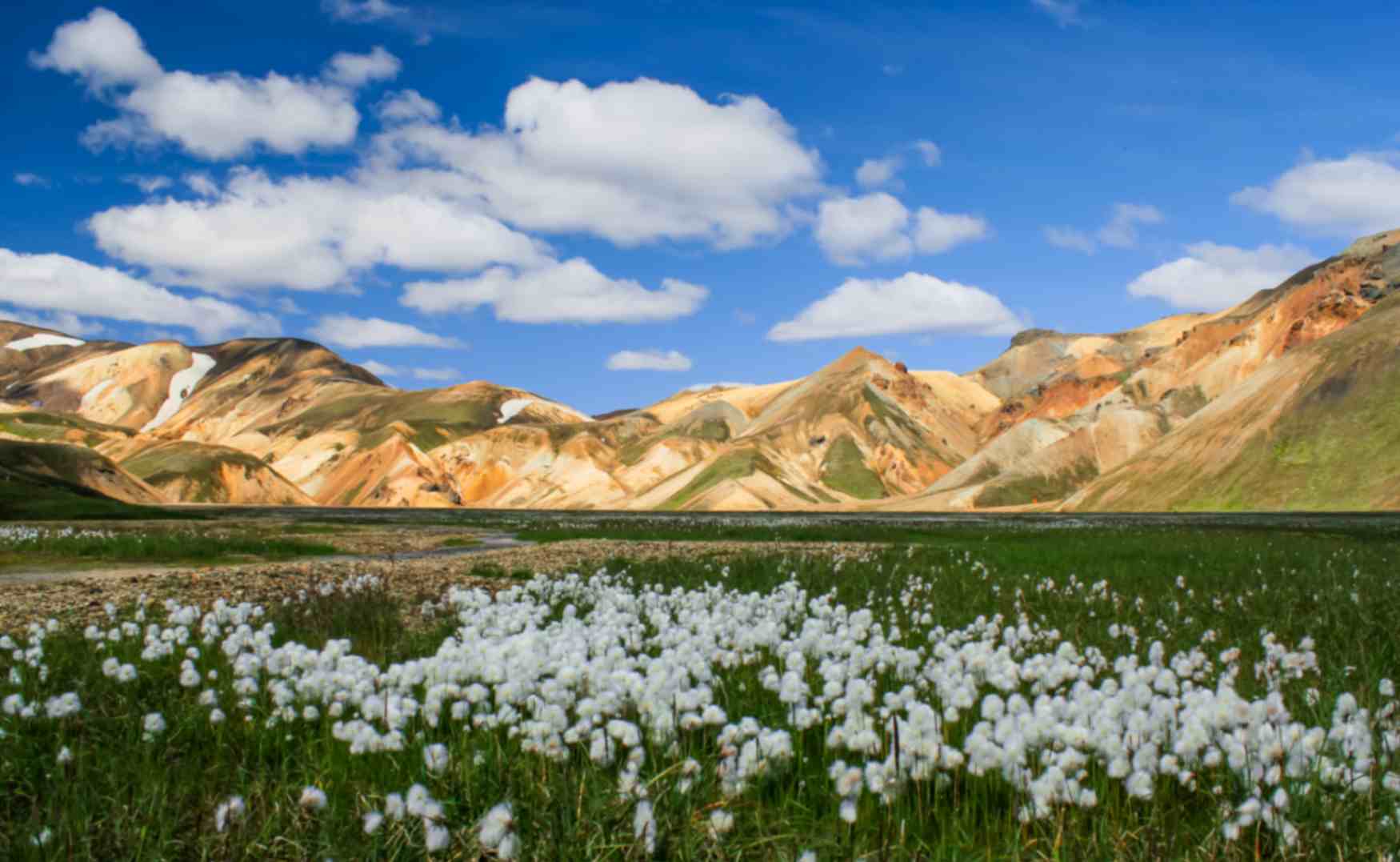 Landmannalaugar highlands with cottons and green valley