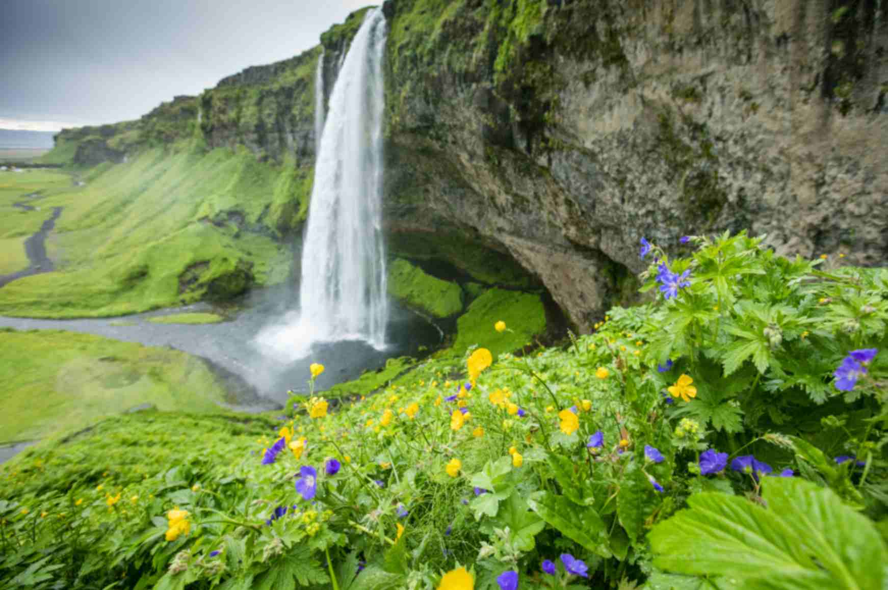Seljalandsfoss waterfall with walking path behind the cascade